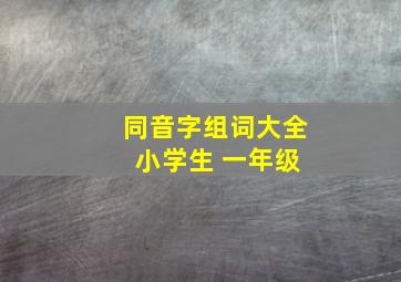 同音字组词大全 小学生 一年级